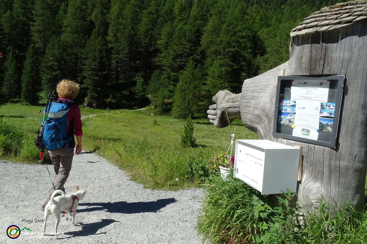 16 Prendiamo a dx il sentiero che porta in quota sul lato dx della valle glaciale.JPG